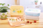plastic lunch box